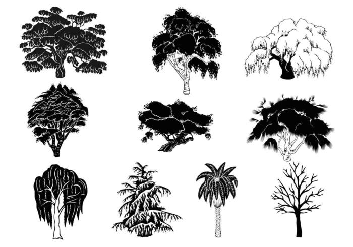 Silueta del árbol Vector Pack