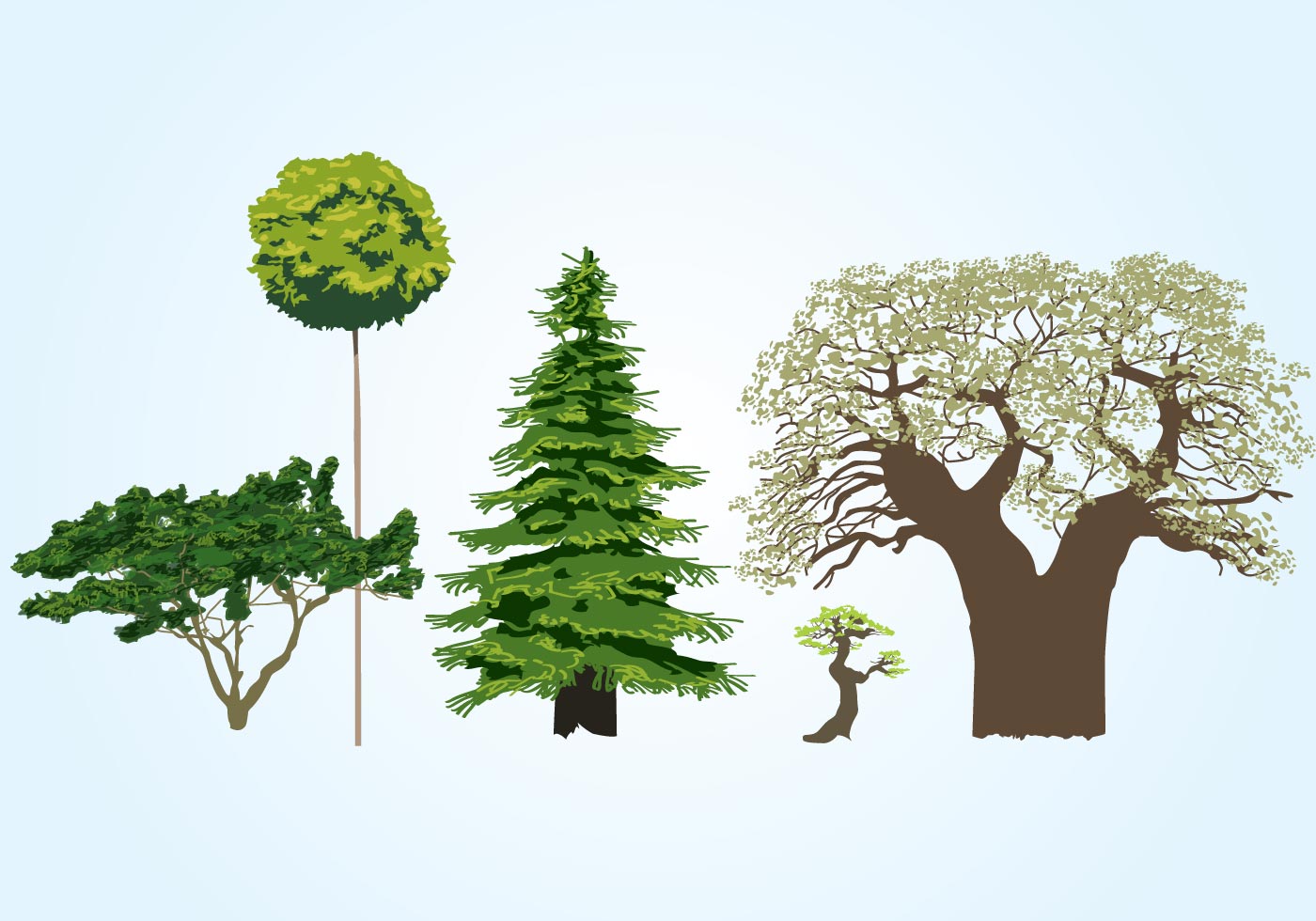 Download Vector Tree Collection - Download Free Vector Art, Stock ...