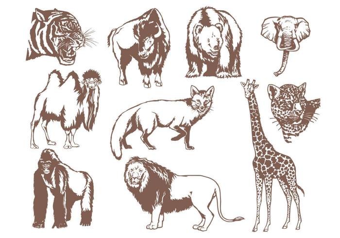 Wild Animals Vector Pack 