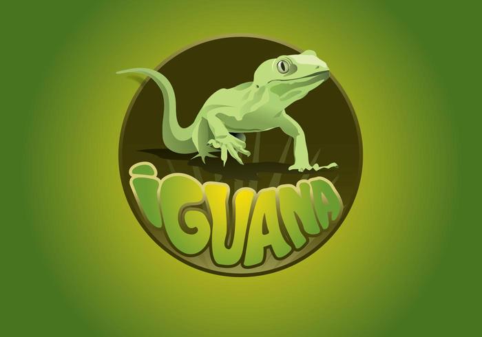 Iguana logo Iguana logo