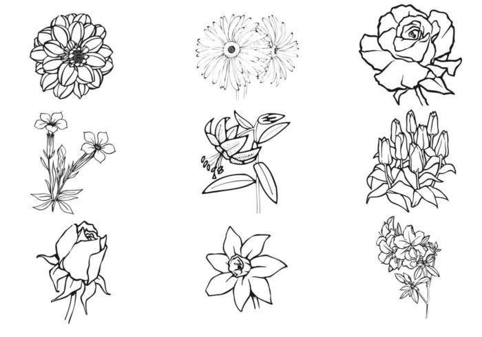 Mano dibujado paquete de vectores de flores