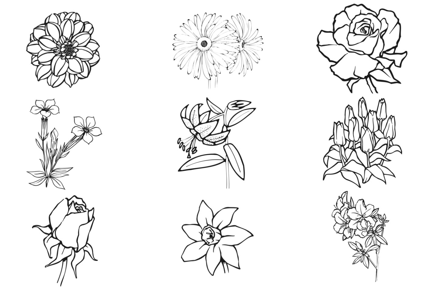 Download Hand Drawn Flower Vector Pack - Download Free Vectors ...