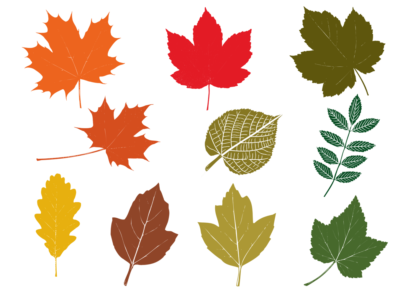 Download Fall Leaves Vector Pack - Download Free Vectors, Clipart ...