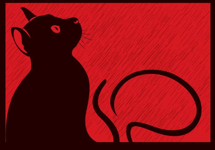 Black Cat in the Rain Black Cat in the Rain