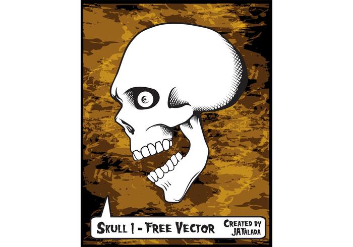 Free Skull Vector - Skull 1 Free Skull Vector - Skull 1