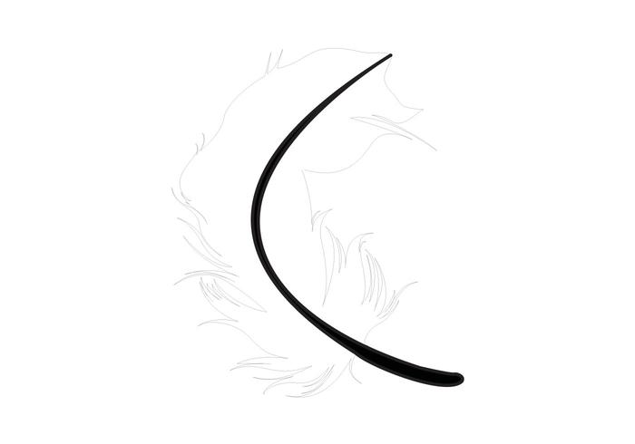 Feather Vector Feather Vector