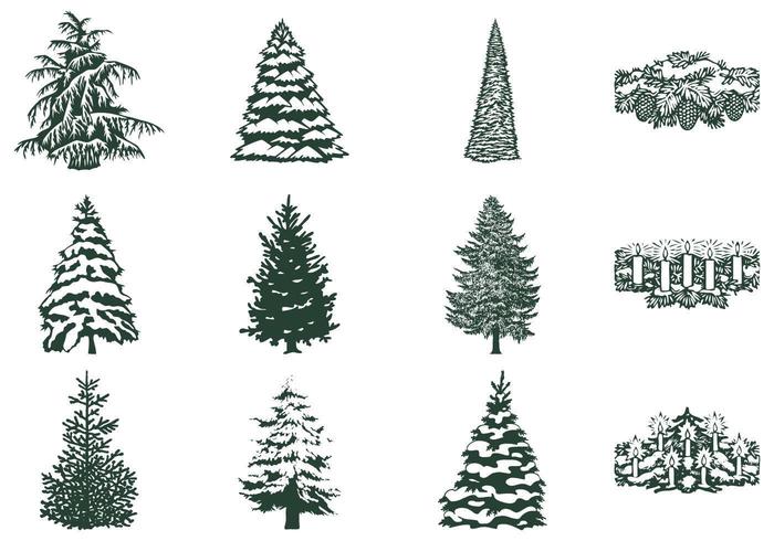Winter Tree Vector and Candle Vector Pack