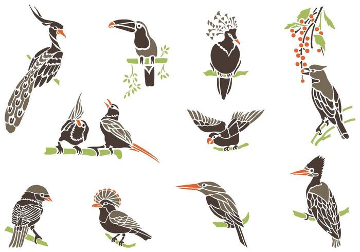 Exotic Bird Vectors on Branches Pack