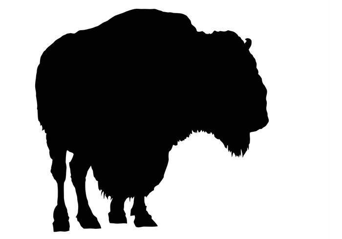 5 American Buffalo Vector Silhouettes (ai) 5 American Buffalo Vector Silhouettes (ai)