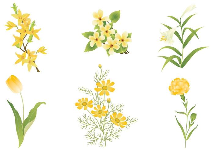 Yellow Flower Vector Pack