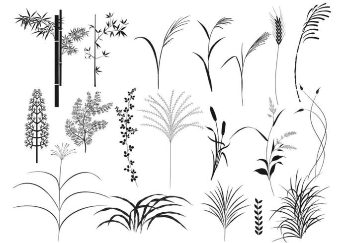 Reeds and Grass Vector Pack