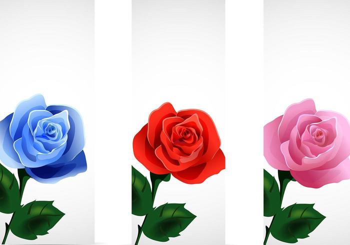 Rose Banner Vector Pack