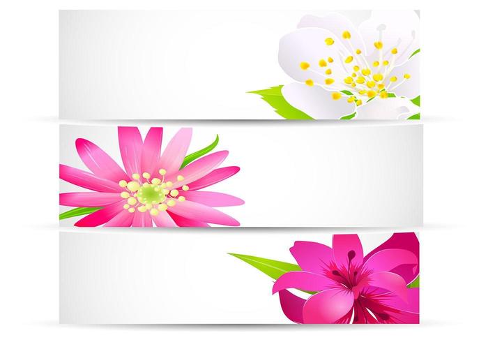 Conjunto de vectores floral brillante banner