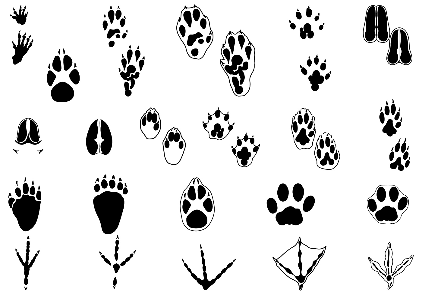 Download Animal Tracks Vector Pack Two - Download Free Vectors ...