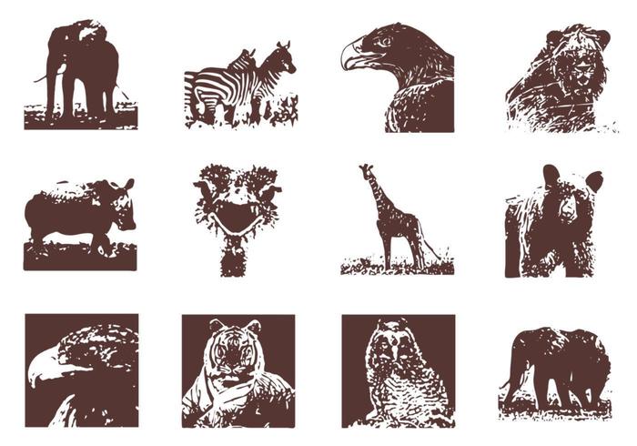 Grunge Animales Salvajes Vector Pack