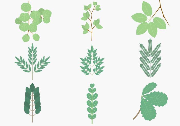 Green Leaves Branches Vector Pack