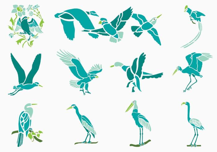 Pack de vectores tropicales de aves