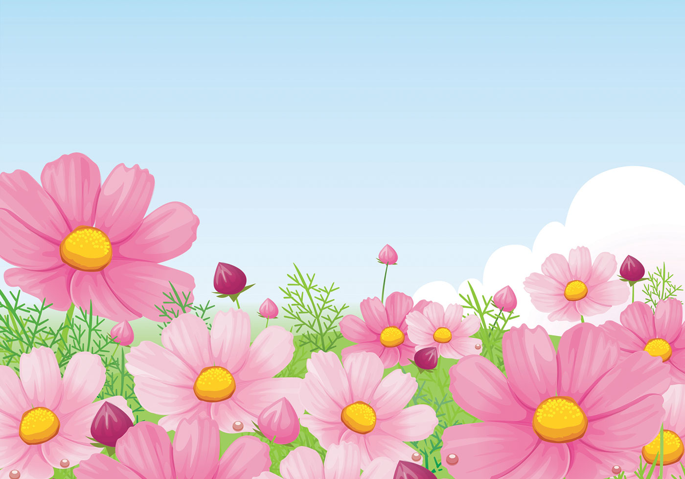 Beautiful Pink Daisy Wallpaper Vector - Download Free Vectors, Clipart ...