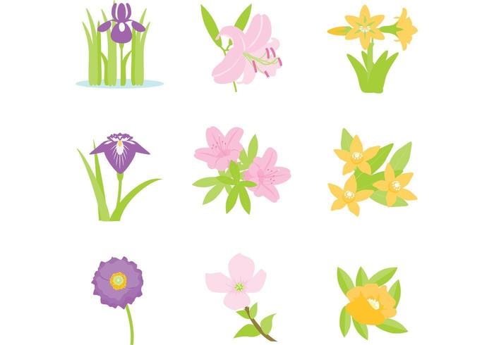 Colorful Flower Vector Pack