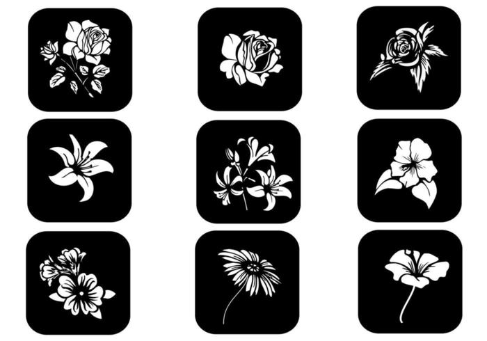 Blanco y negro Floral Vector Pack