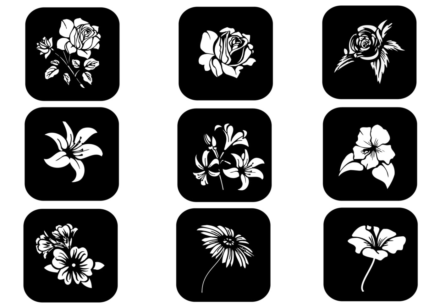 Black and White Floral Vector Pack 57110 Vector Art at Vecteezy