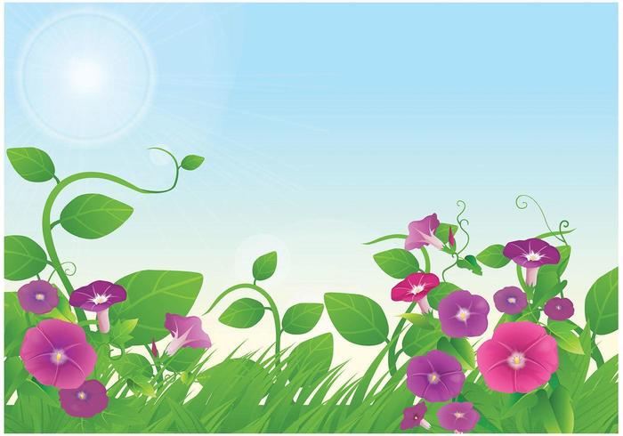 Morning Glory Floral Wallpaper Vector