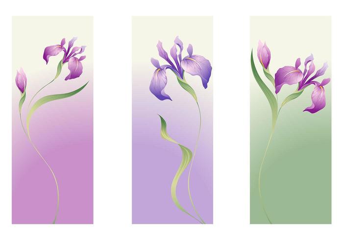 Iris Flor Vector Banner Pack