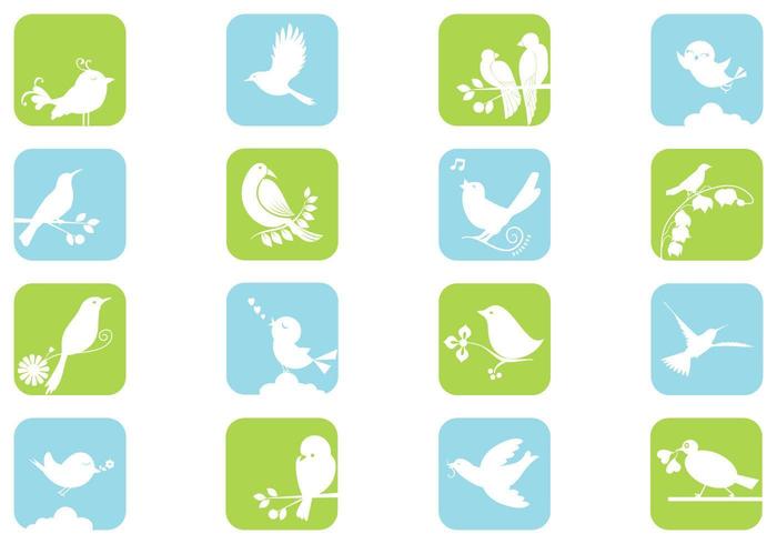 White Birds Vector Pack