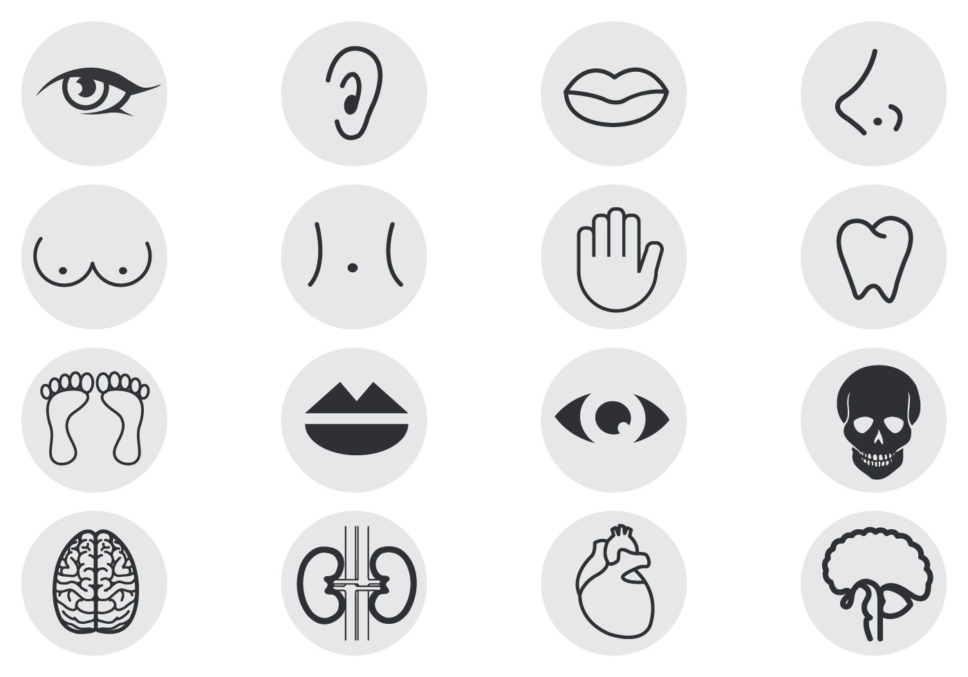 Download Human Body Parts Vector Pack 57734 - Download Free Vectors ...