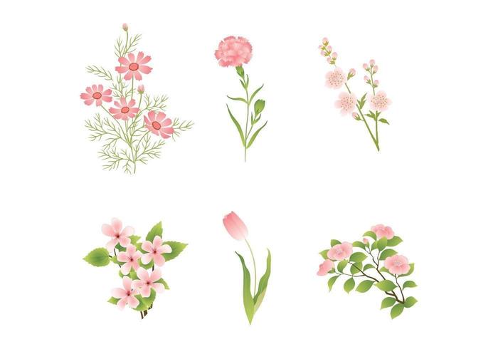 Various Pink Flower Vectors