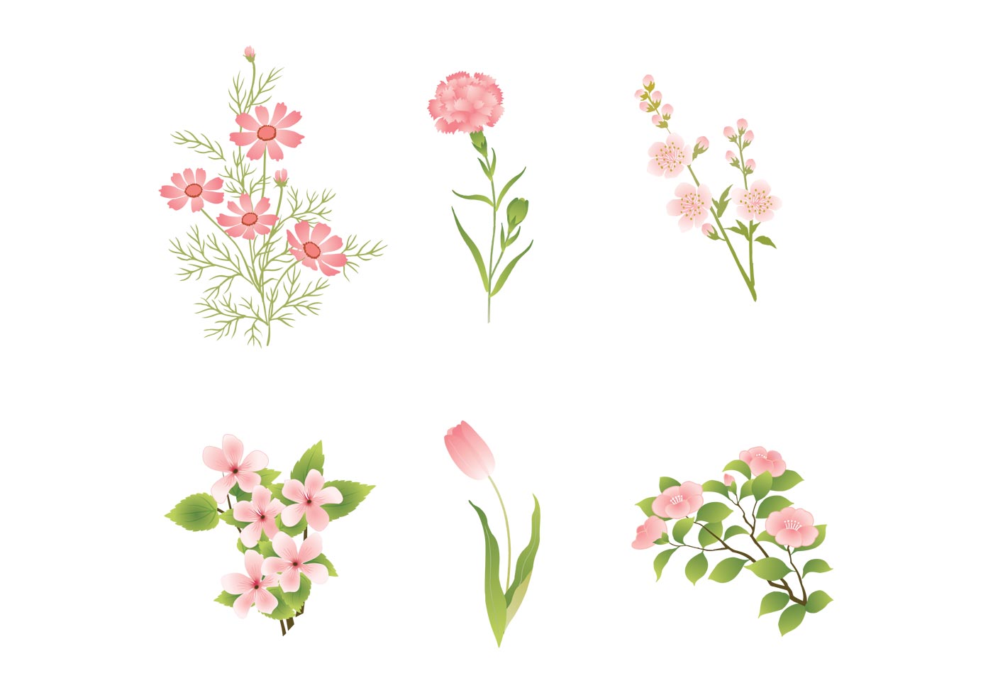 Download Various Pink Flower Vectors 57815 - Download Free Vectors ...