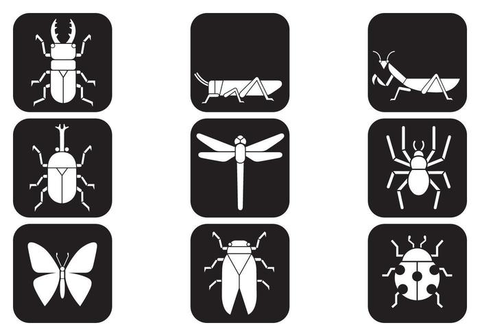 Pack de iconos vectoriales de insectos vector