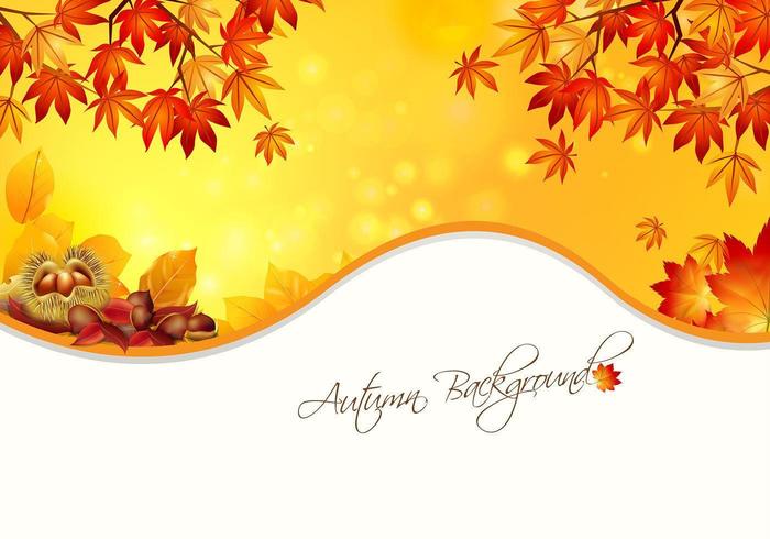 Warm Autumn Background Vector