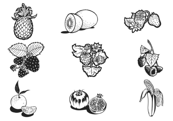 Hand Drawn Fruit Vector Pack