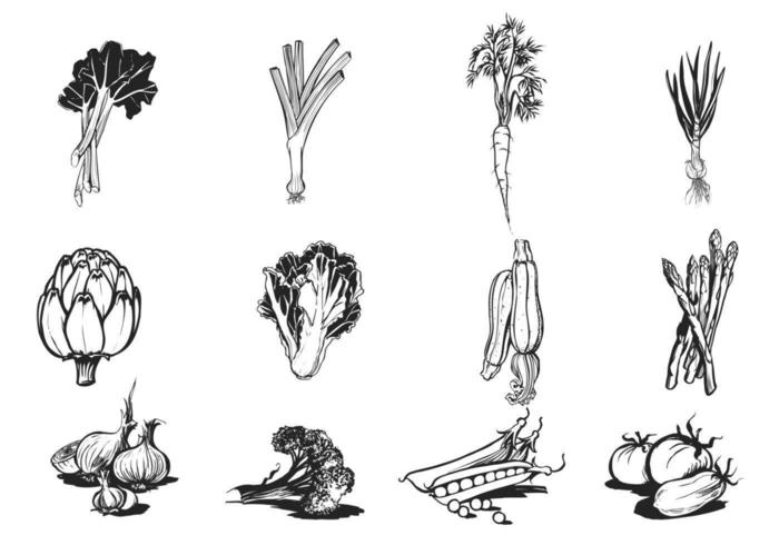 Mano Dibujado Vegetales Vector Pack