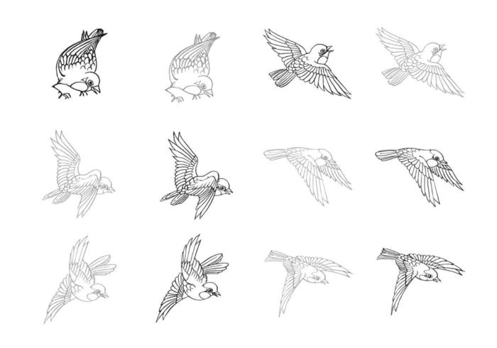 Dibujado a mano Flying Bird Vector Pack