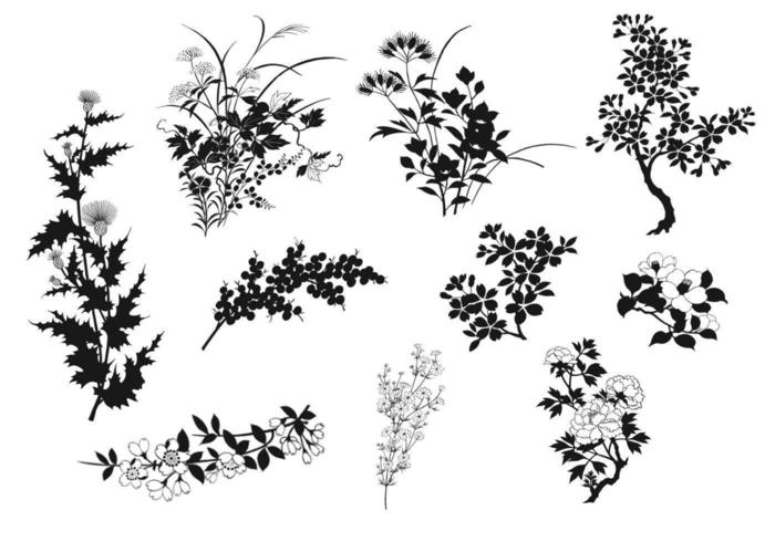 Natural Plant Vector Silhouette Elements Pack