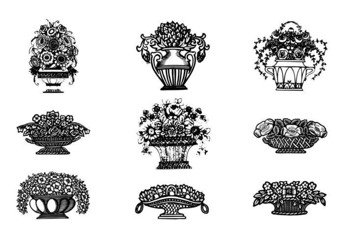 Hand Drawn Flower Vectors in Vases