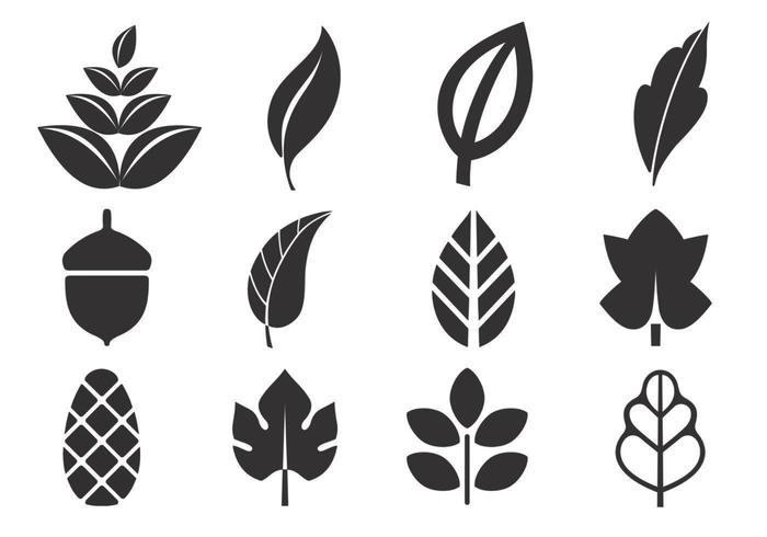 Abstract Leaf Vector Pack