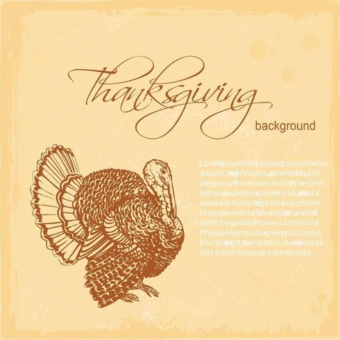 Thanksgiving Turkey Vector Background