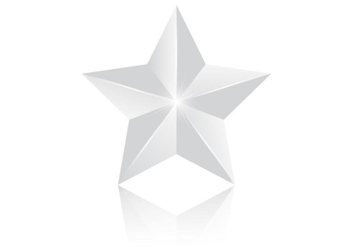 3D Silver Star Vector