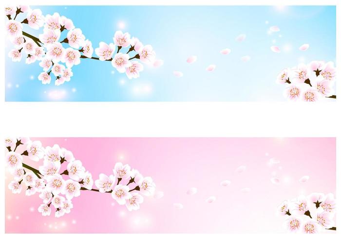 Cherry Blossom Banner Vector Pack