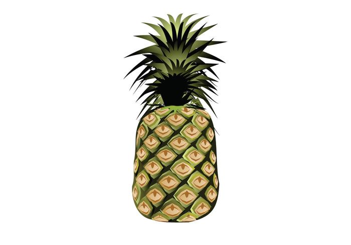 Pineapple Vector