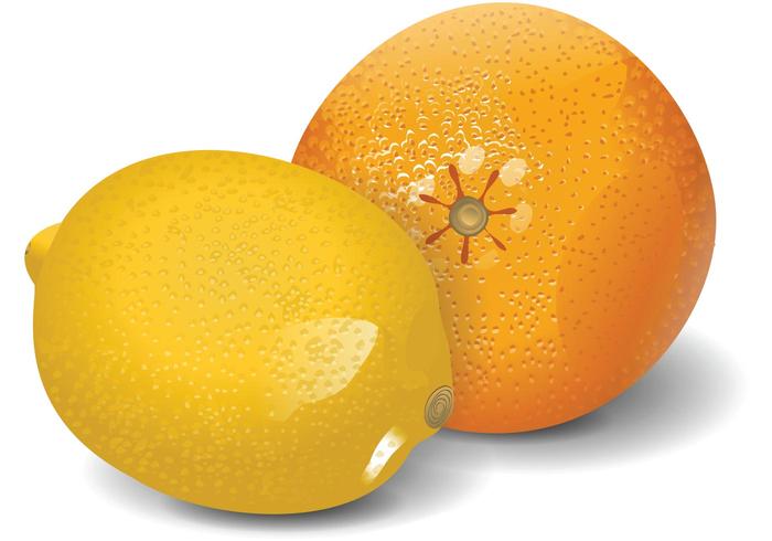 Lemon & Orange Vector Lemon & Orange Vector