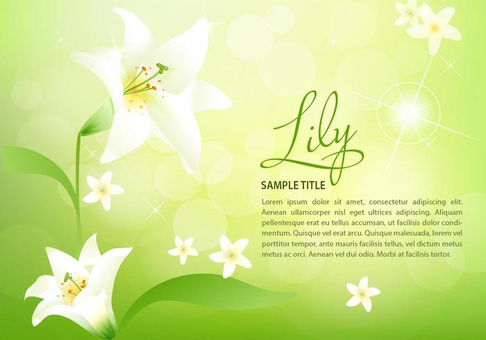 Spring Lily Background Vector
