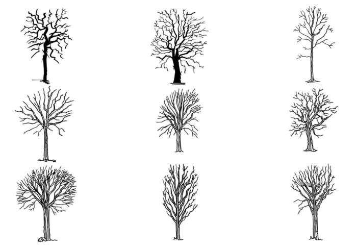 Hand Drawn Dead Tree Vector Pack