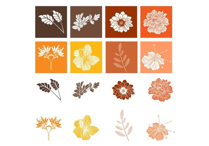 Botánico floral vector pack