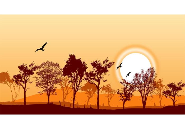 Forest Landscape Vector Forest Landscape Vector