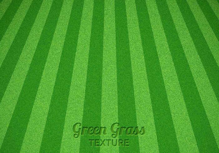 Mowed Green Grass Vector Texture