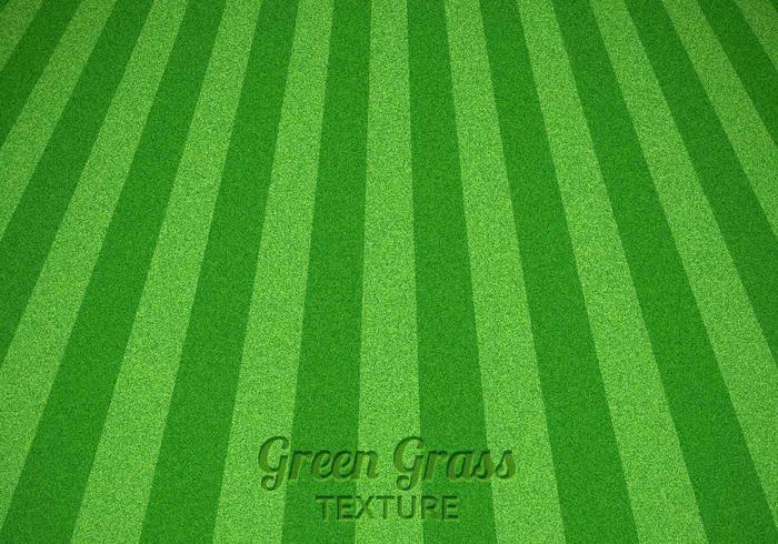 Mowed Green Grass Vector Texture